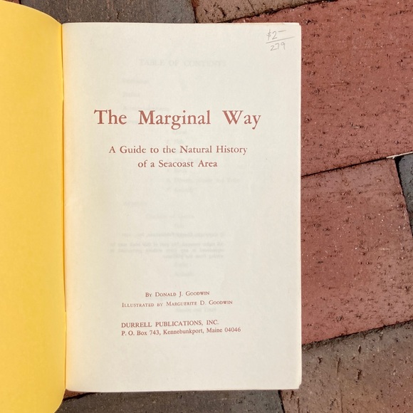 1971 Marginal Way Guide To Natural History Of Seacoast Area Maine New England - Picture 9 of 12